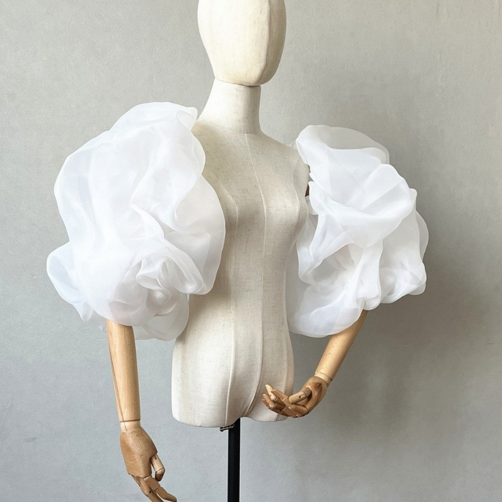 Stylish Puffy Bridal Sleeves O - Winter Clothing Ladies recensie en prijs
