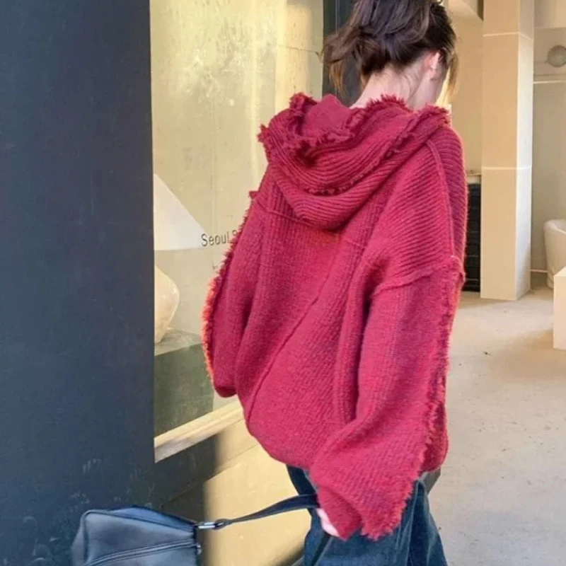 Autumn and Winter Thick Hoodie - Winter Clothing Essential recensie en prijs